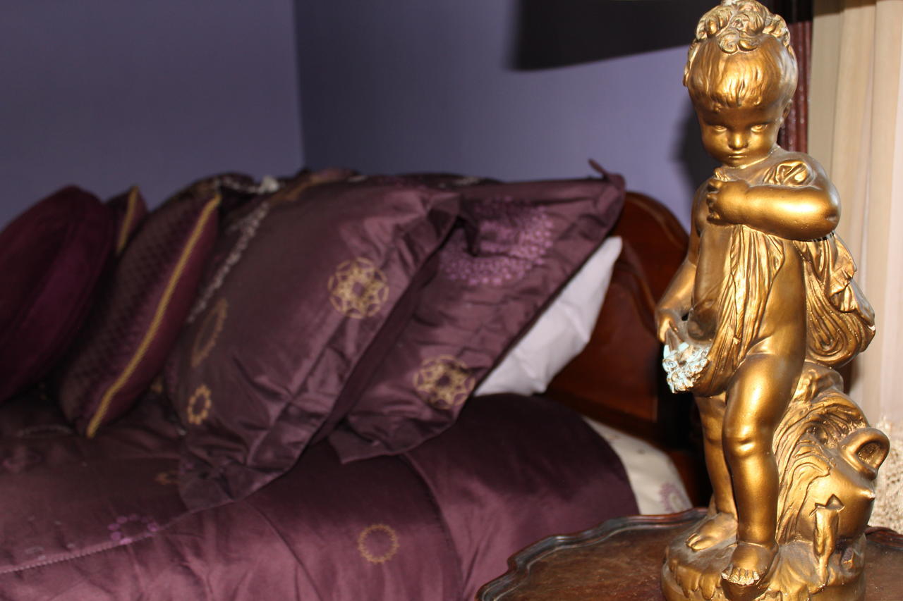 Golconda Riverview Mansion Hotel חדר תמונה